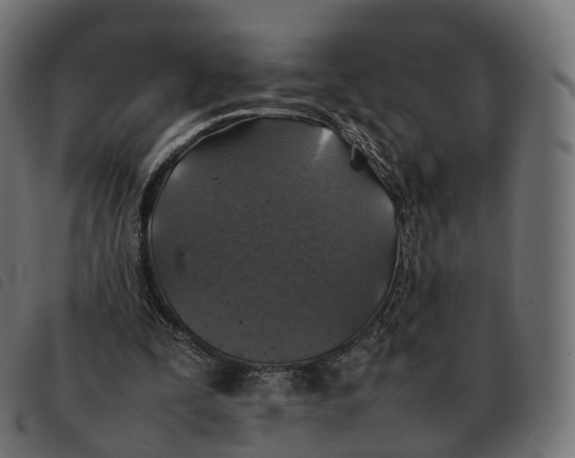 X0000092220295200710121202