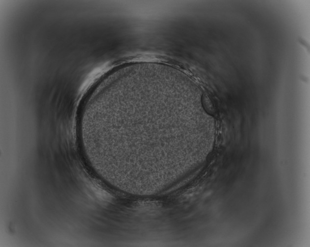 X0000092220296200710121202