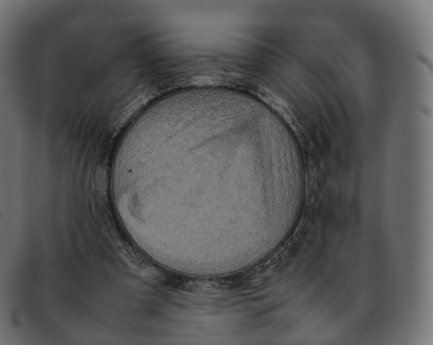 X0000092220297200710121202