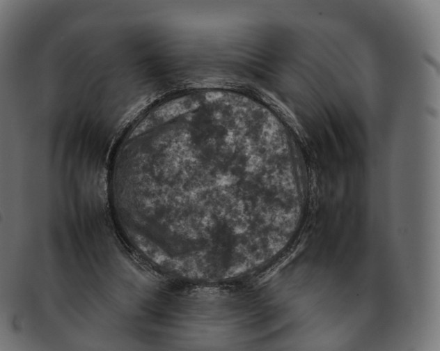 X0000092220298200710121202