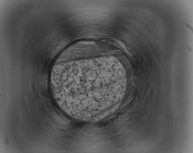 X0000092220299200710121202