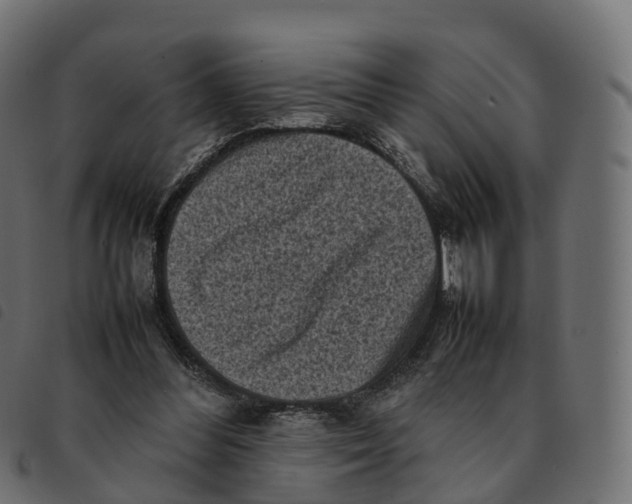 X0000092220300200710121202