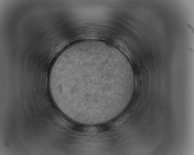 X0000092220301200710121202