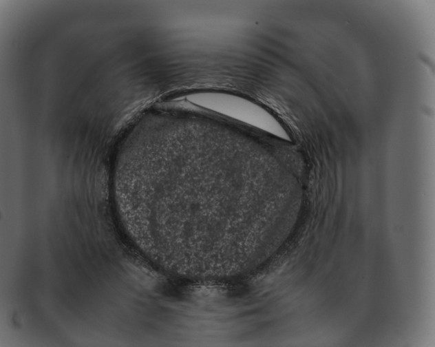 X0000092220303200710121202