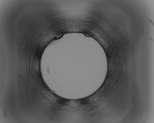 X0000092220305200710121202