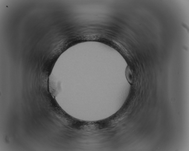 X0000092220307200710121202