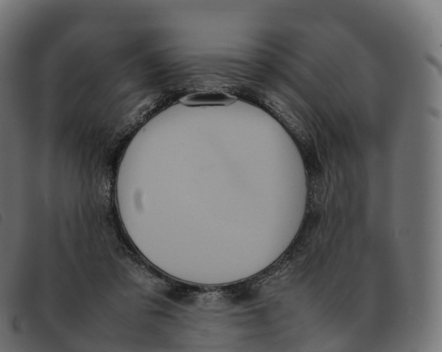 X0000092220309200710121202