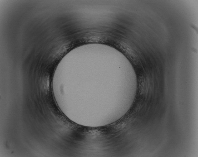 X0000092220310200710121202