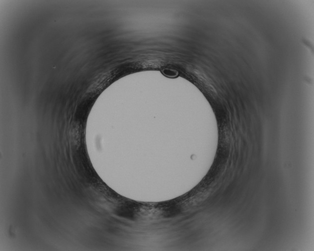 X0000092220311200710121202