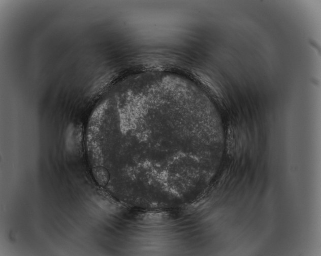 X0000092220314200710121202