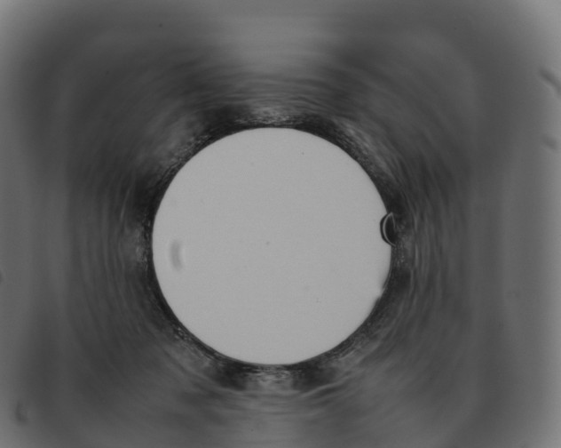 X0000092220317200710121202