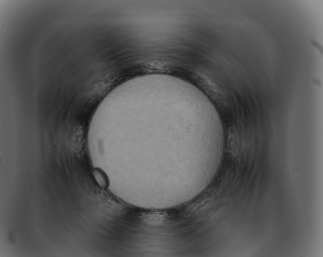 X0000092220318200710121202