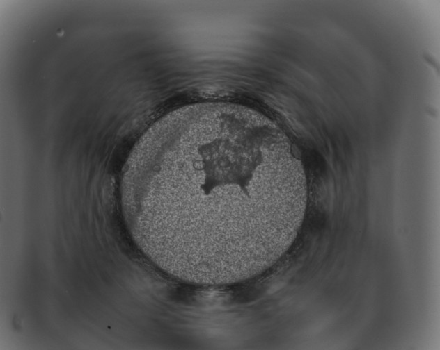 X0000092220319200710121202