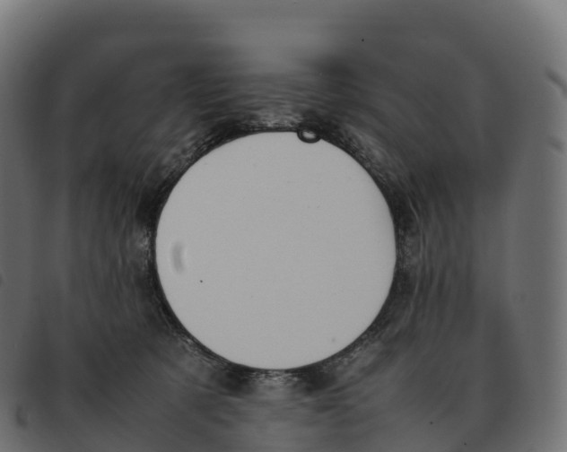 X0000092220321200710121202