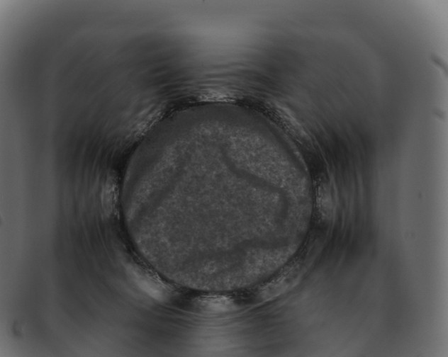 X0000092220322200710121202