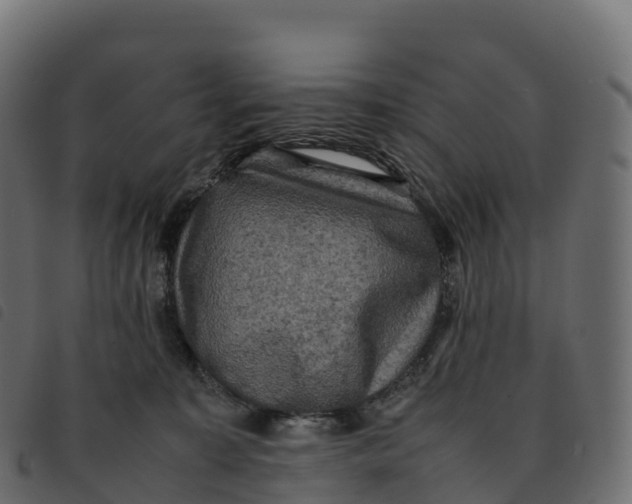 X0000092220323200710121202