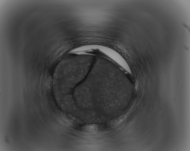 X0000092220325200710121202