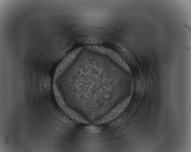 X0000092220326200710121202