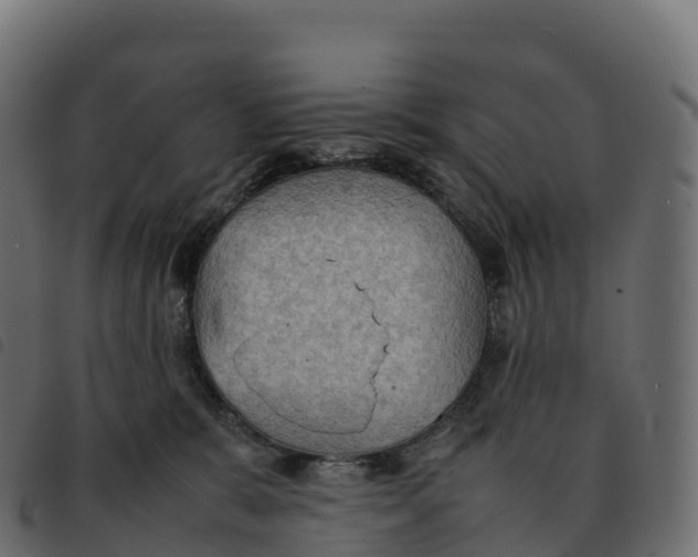 X0000092220327200710121202