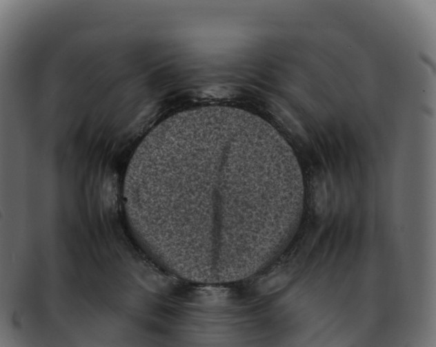 X0000092220328200710121202