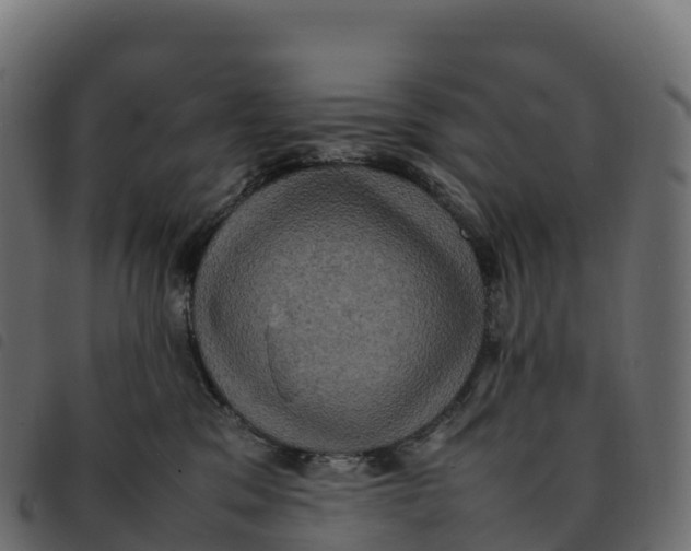 X0000092220329200710121202