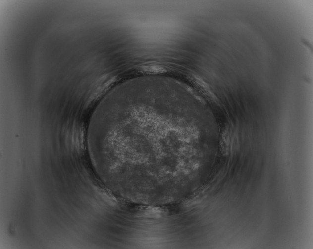 X0000092220330200710121202