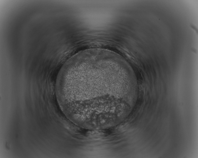 X0000092220331200710121202