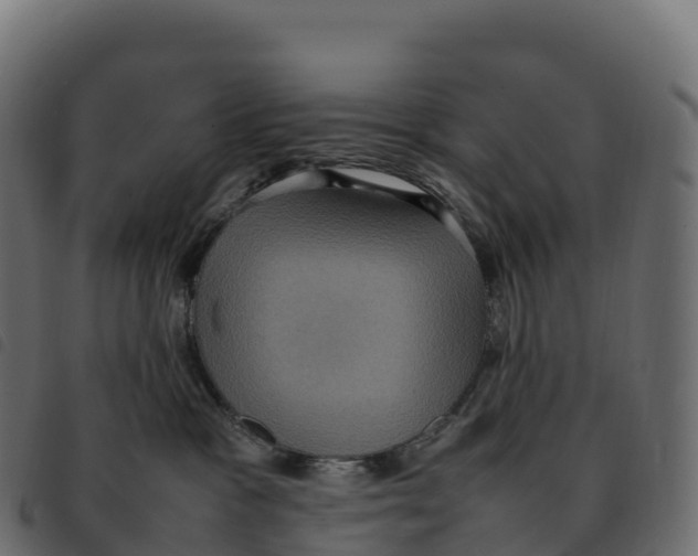 X0000092220333200710121202