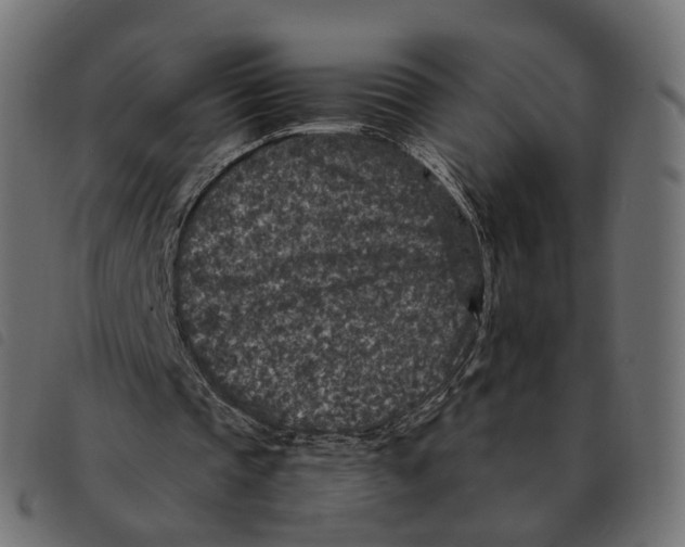 X0000092220337200710121201