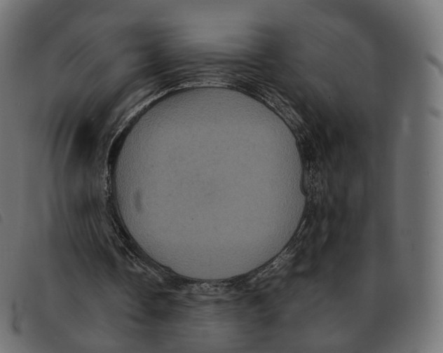 X0000092220338200710121201