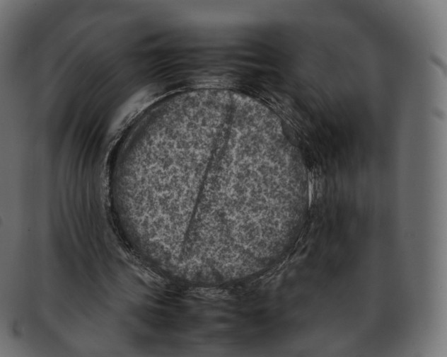 X0000092220339200710121201