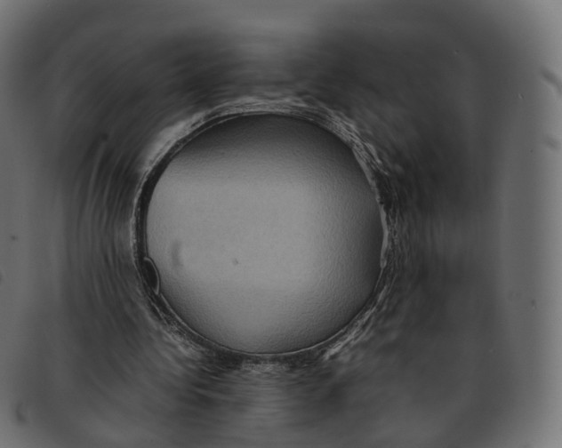 X0000092220340200710121201