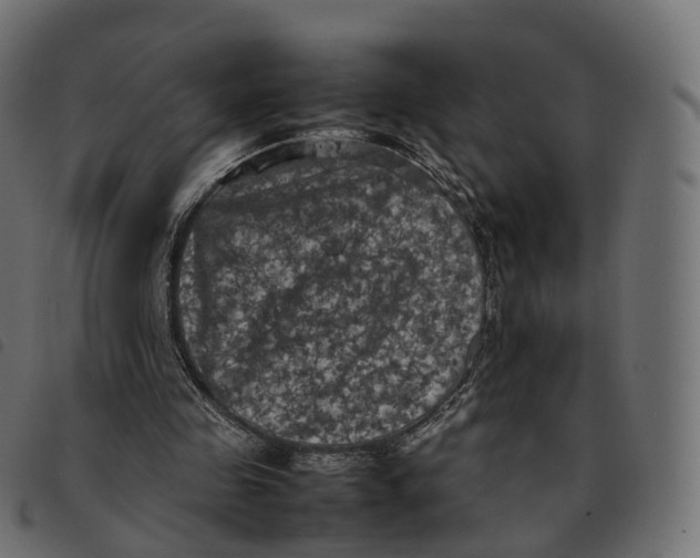 X0000092220341200710121201