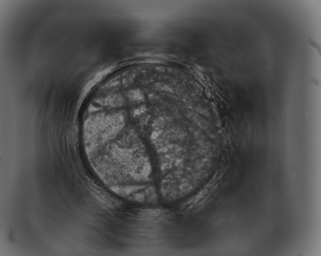 X0000092220342200710121201