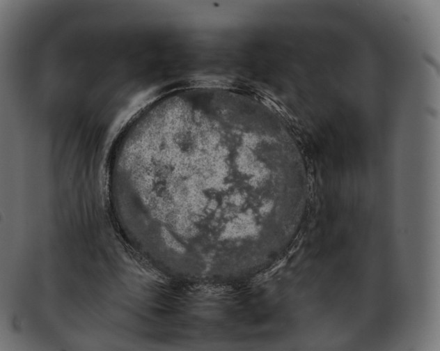 X0000092220343200710121201