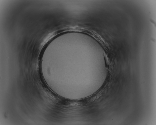 X0000092220344200710121201