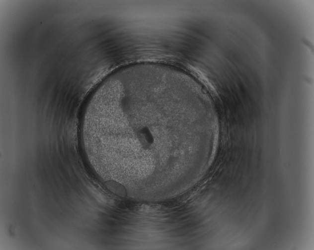 X0000092220346200710121201