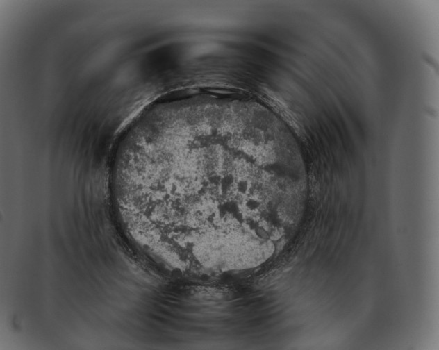 X0000092220347200710121201