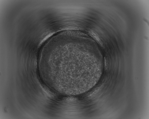 X0000092220348200710121201