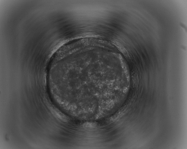 X0000092220350200710121201