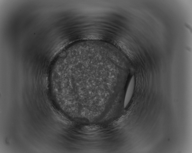 X0000092220351200710121201