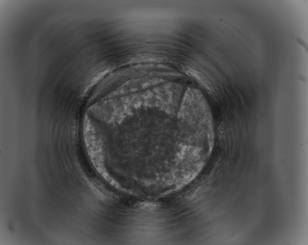 X0000092220352200710121201