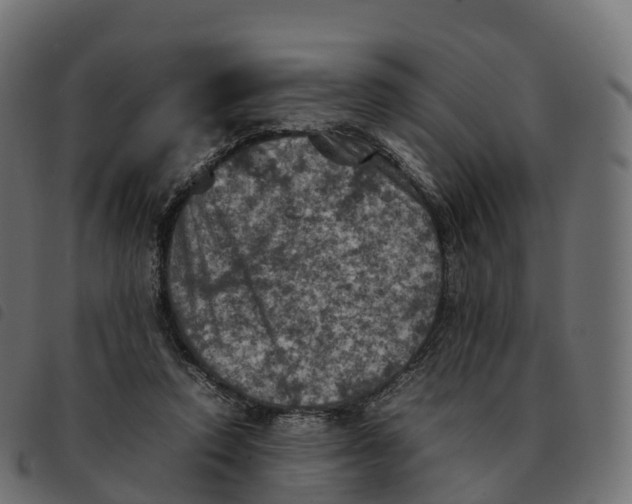 X0000092220354200710121201