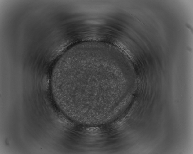 X0000092220355200710121201