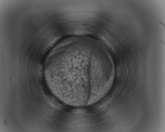 X0000092220356200710121201