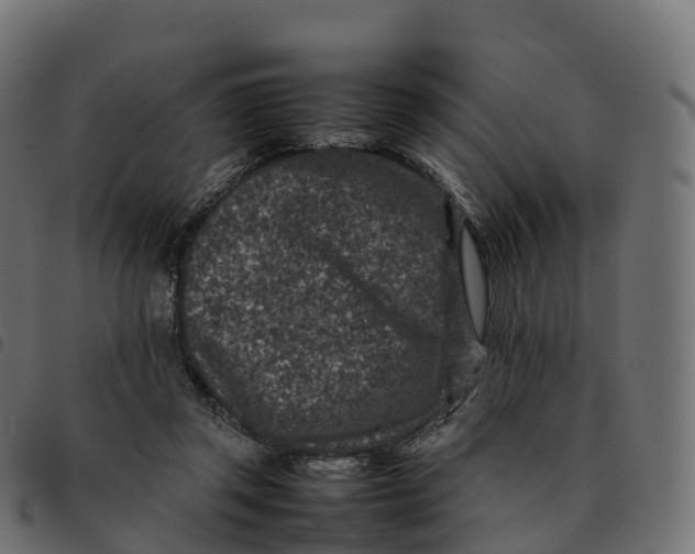 X0000092220357200710121201