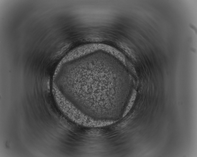 X0000092220358200710121202