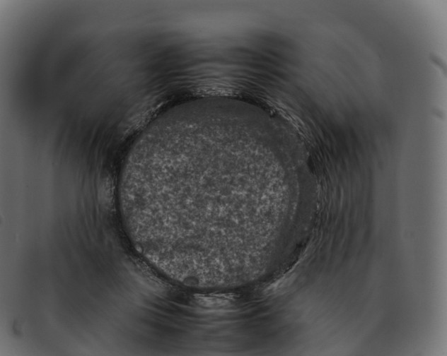 X0000092220359200710121202