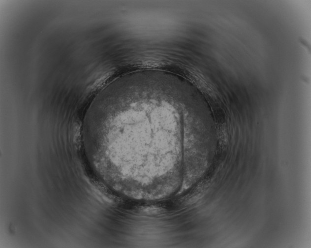 X0000092220360200710121202