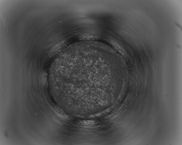 X0000092220361200710121202